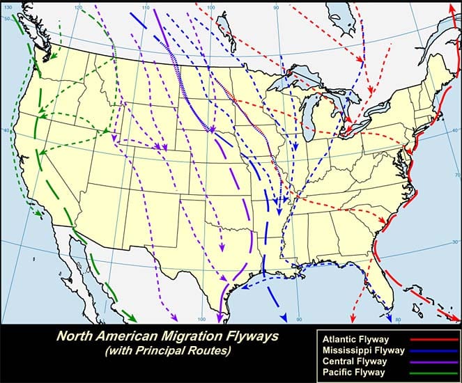 Flyways