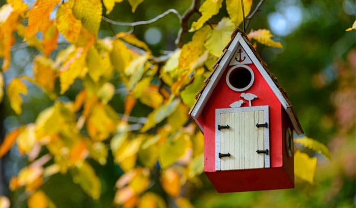 do hummingbirds use birdhouses