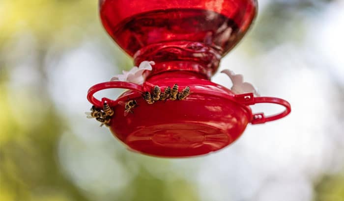 how to keep bees away from hummingbird feeders