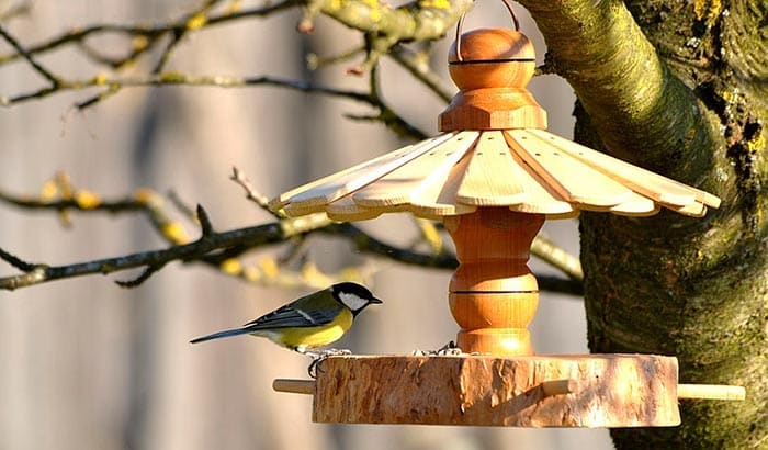 what is a jelly bird feeder