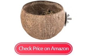 andwe squirrels feeder coconut feeding bowl