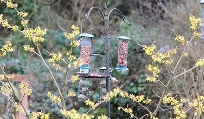 best bird feeder pole system