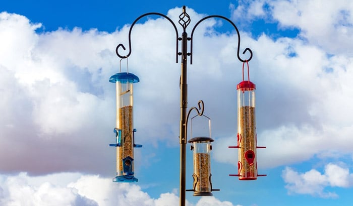 best bird feeder pole
