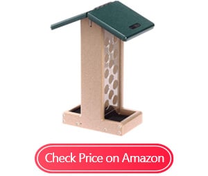 birds choice whole peanut blue jay feeders