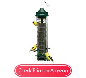 brome squirrel buster finch squirrel-proof bird feeders