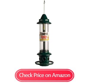 brome squirrel buster plus squirrel-proof feeders