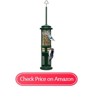 brome squirrel squirrel proof bird feeders