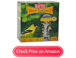 kaytee finch feeders