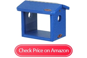 kettle moraine recycled bluebird mealworm feeders