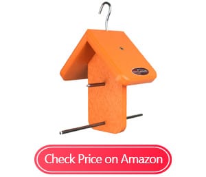 kettle moraine recycled single oriole fruit feeders