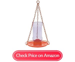 perky-pet 253 oriole jelly wild bird feeders