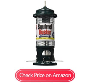 squirrel buster standard squirrel-proof feeders