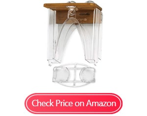 roamwild beautiful arch window wild bird feeder