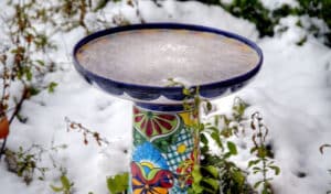 how to keep bird bath from freezing
