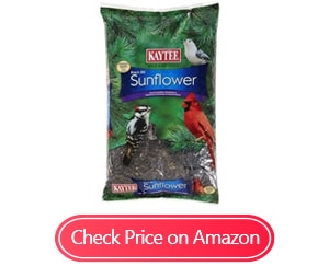 kaytee wild bird black oil sunflower food