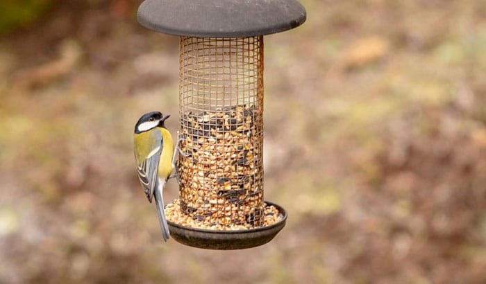 prevent birdseeds from falling on the ground