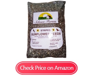 schoen farms striped sunflower seeds