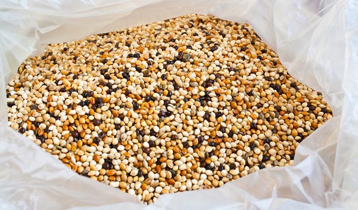 what to do with old bird seed