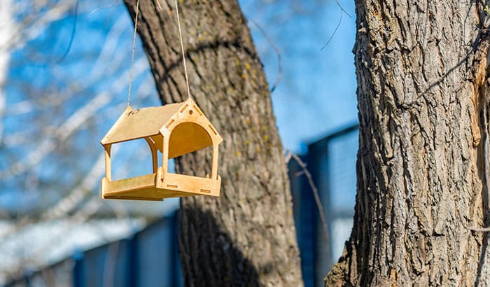 where to hang a bird feeder