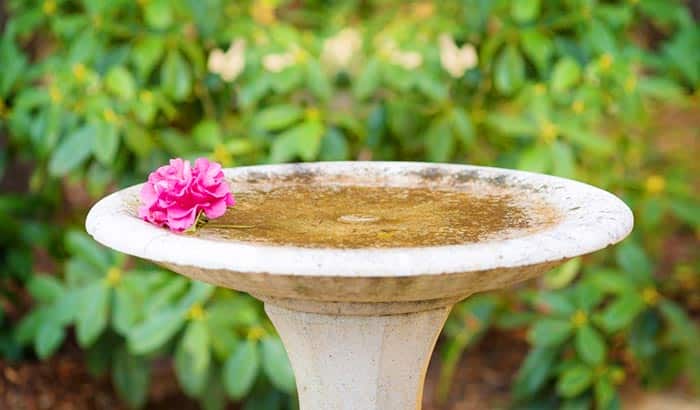 how to seal a leaking concrete bird bath