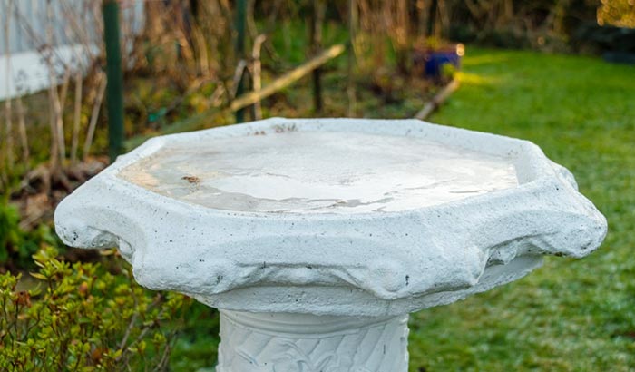 seal a bird bath