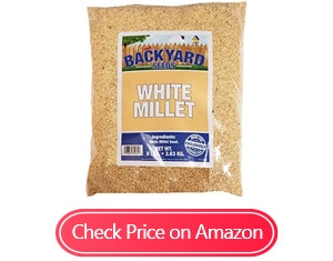 countrymax white millet bird seeds