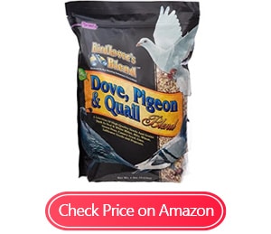 f.m. brown dove pigeon quail blend food