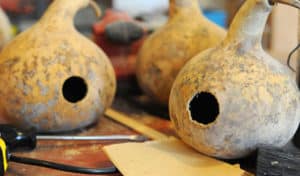 how to make gourd birdhouses