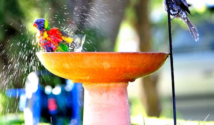 how to paint concrete bird bath