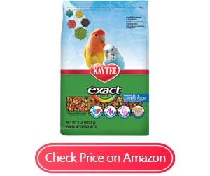 kaytee exact rainbow lovebird food