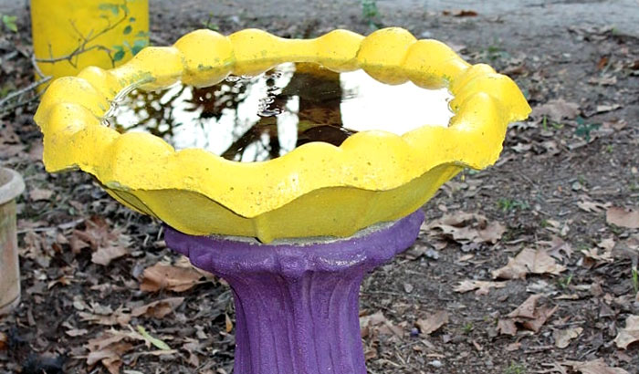 paint the concrete bird bath