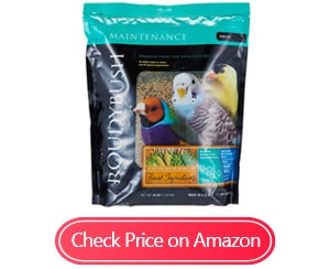 roudybush daily maintenance bird foods