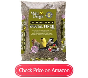 wild delight special finch foods