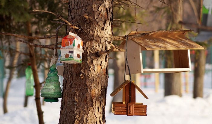 how to hang a bird feeder without a tree