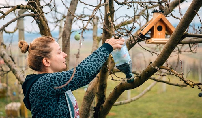 how to hang bird feeder from tree