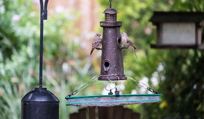 how to make a bird seed catcher tray