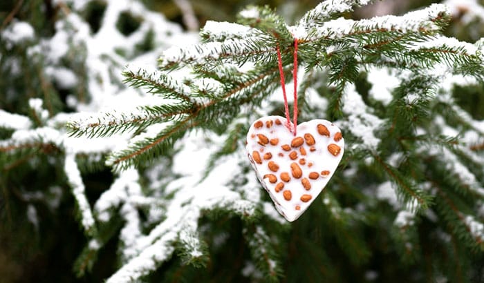 how to make bird seed ornaments without gelatin