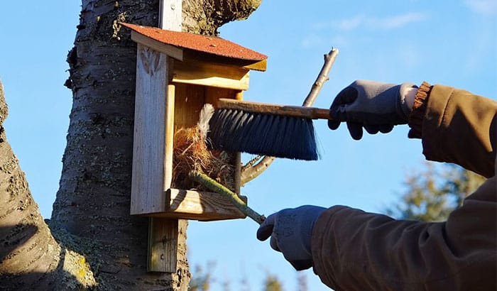 how to clean a bird house