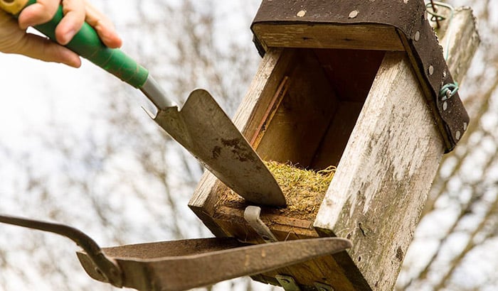 sanitizing the birdhouse