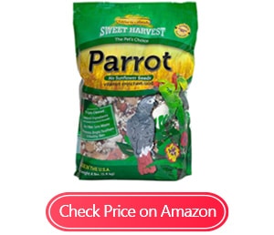 sweet harvest parrot bird food