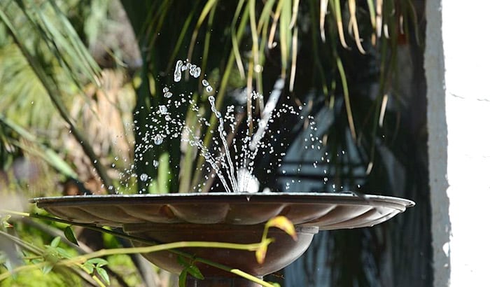 best solar powered bird bath fountains