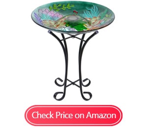 dream garden glass solar birdbaths