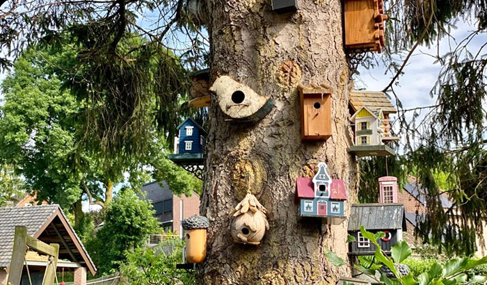 what colors attract birds to bird houses