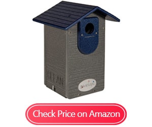 jcs wildlife eastern western bluebird house