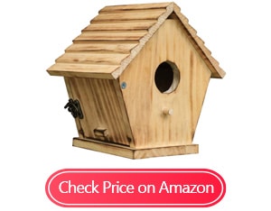 starswr wooden bluebird house