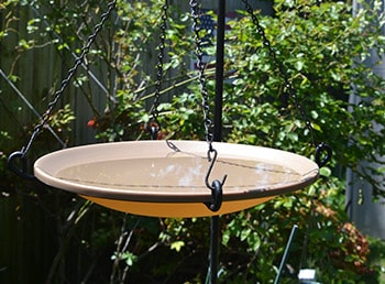 attract barn swallows with birdbath