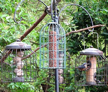 cage bird feeders