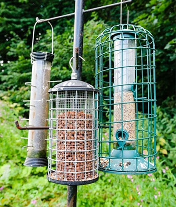 crow-proof bird feeder