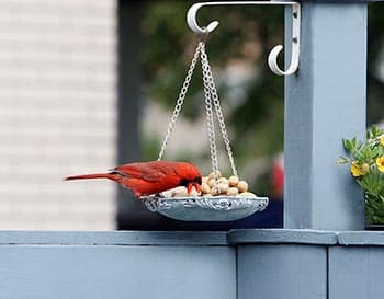 hang bird feeder with clothesline pole