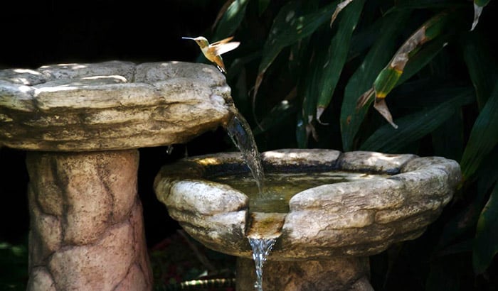 best bird bath for hummingbirds